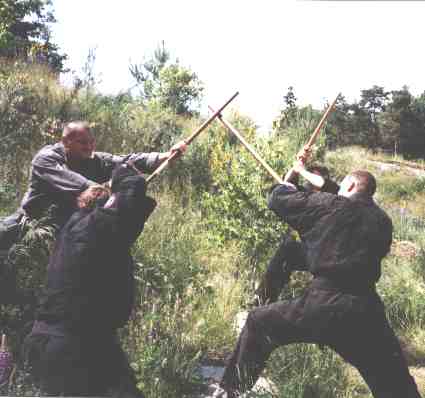 Senftenberg1.jpg (16388 Byte)